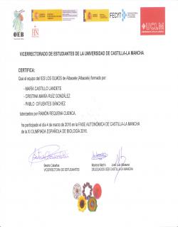 Diploma de participación